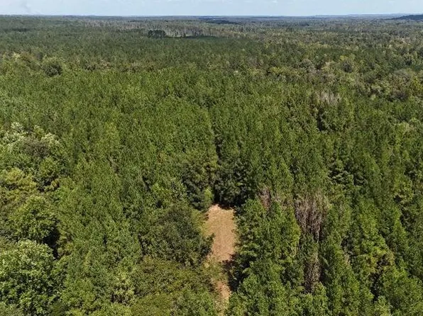 0 Oakey Streak Rd, Dozier, AL 36028