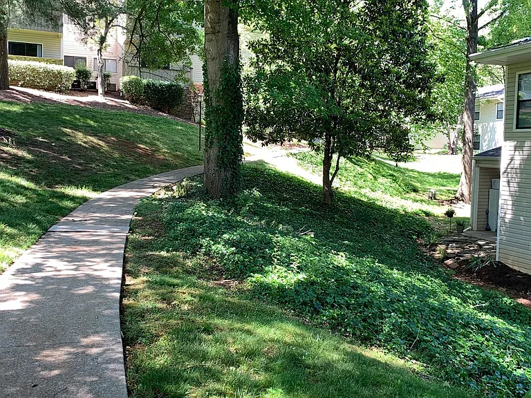 Mountain View — Photo 19