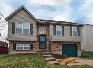 1581 Raintree Ct, Elsmere, KY 41018