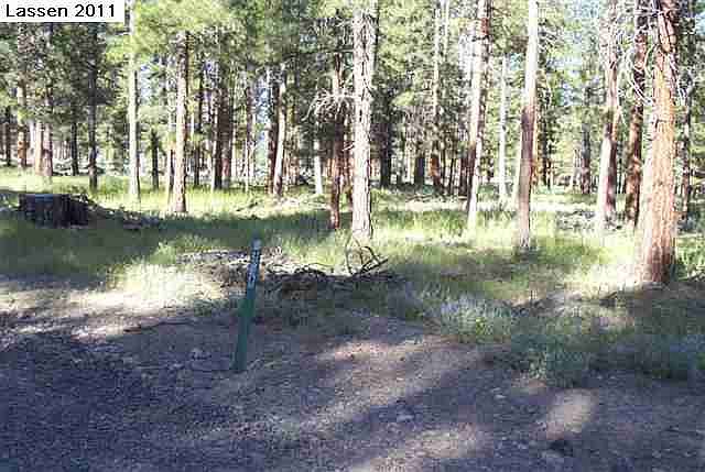 2nd image of 13 Pinion Way