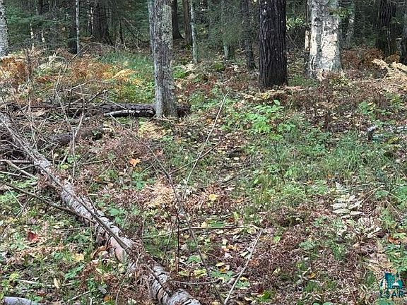 3rd image of XXX Brule River Rd