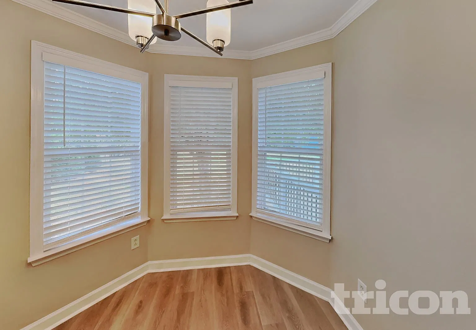 207 Towbridge Drive Murfreesboro TN — Photo 4