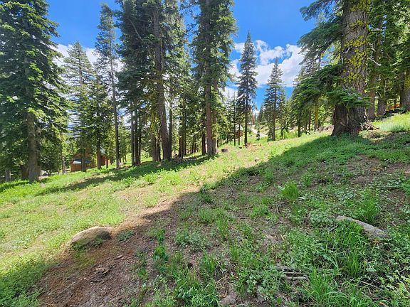 5th image of 350 Snowshoe Rd