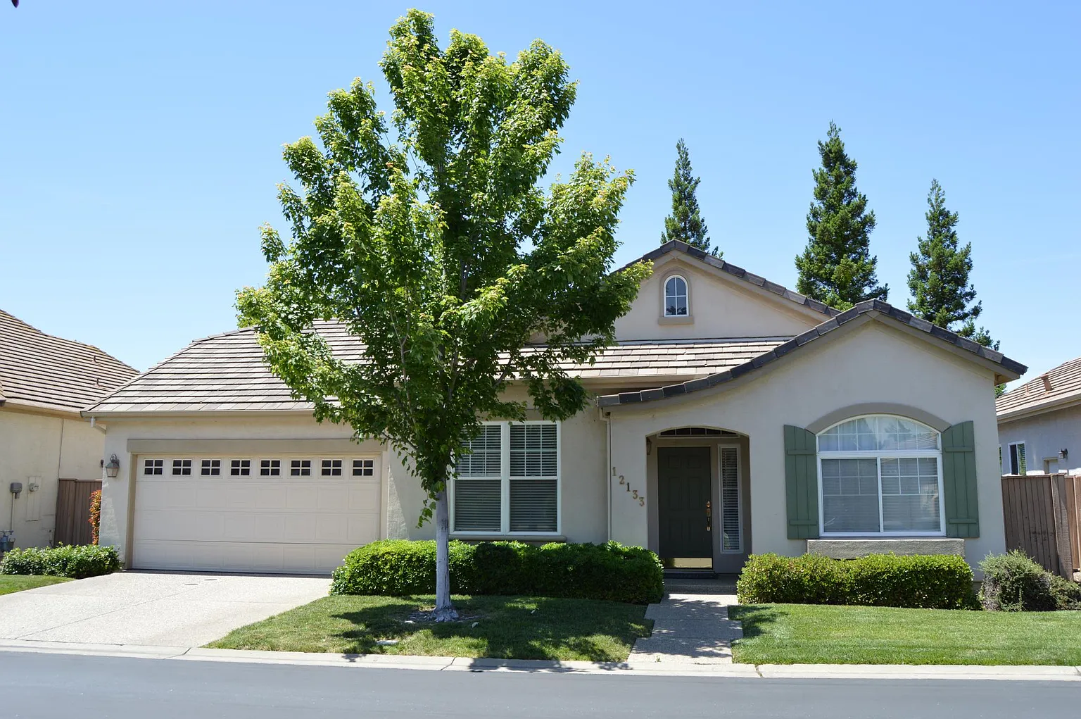 12133 Gold Bluff Ln photo 1