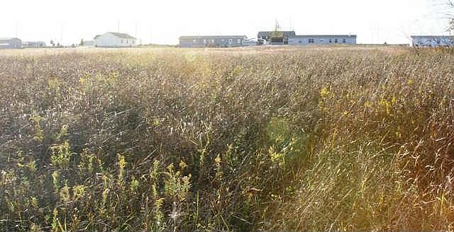 May 19 2011