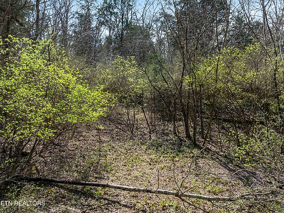 4th image of 3670 Haven Hill Rd Lot 41&42