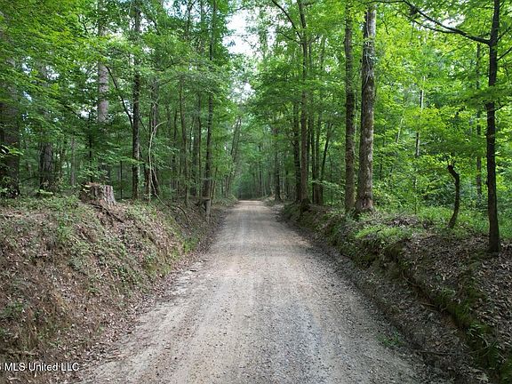2nd image of Woodlawn Rd