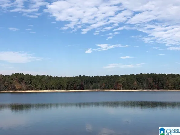 370 New Harmony Dr Lot 9, Lineville, AL 36266