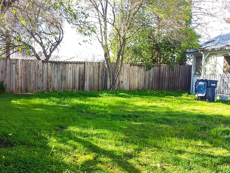 Front yard