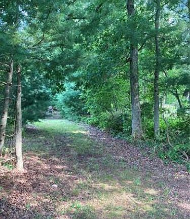 2nd image of Blue Mountain Dr