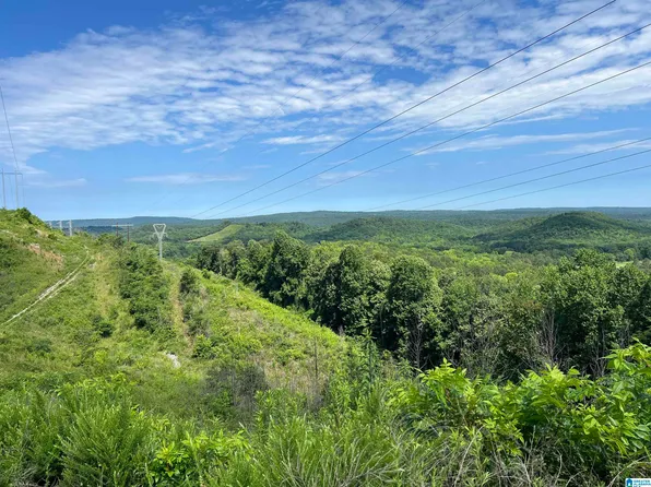 8455 Clayton Rd #0, Springville, AL 35146