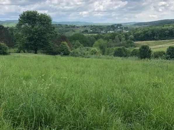Adams Ln, Max Meadows, VA 24360
