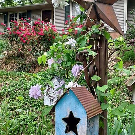 3rd image of 253 Newport Rd SW