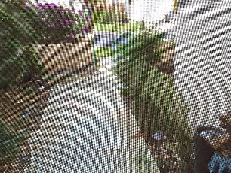 1048 Kiionioni Loop — Photo 37