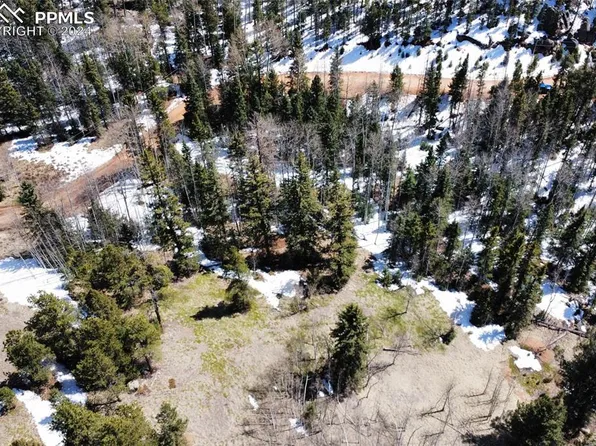3256 N Mountain Estates Rd, Florissant, CO 80816