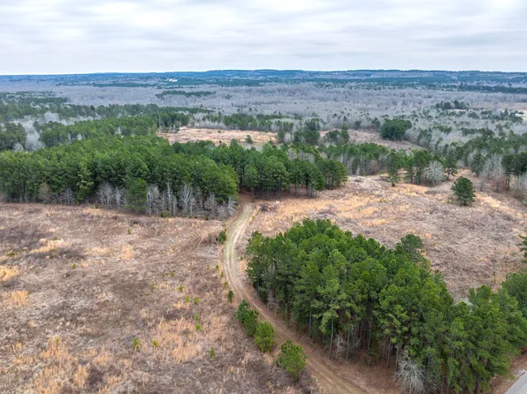 0 County Road 4243d, Laneville, TX 75667