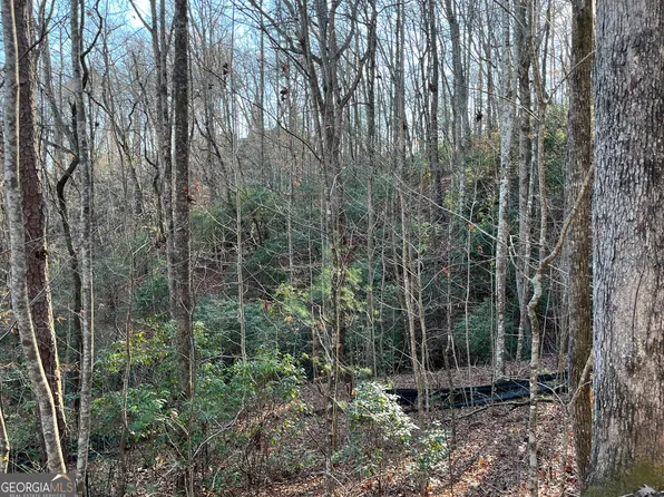0 Forest Canopy Way Lot 8, Clayton, GA 30525