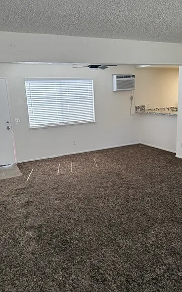 903 Lombard Dr — Photo 6