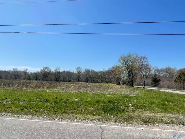 2896 Butler Rd, New Market, AL 35761