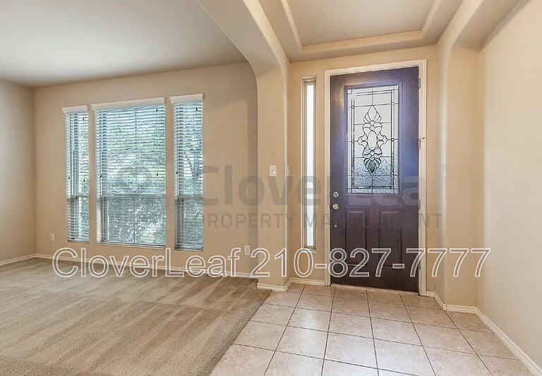 3734 Ox Eye Daisy — Photo 5