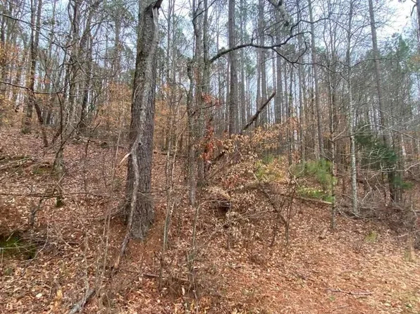 4600 County Highway 89, Vina, AL 35593