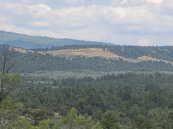 Talavera Ln Unit 1, Tierra Amarilla, NM 87575