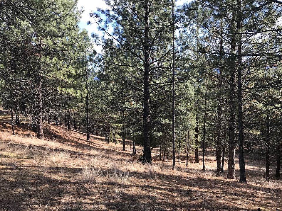 2nd image of Nhn Mount Silcox Dr