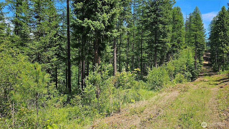 5th image of 432 X Bussard Lake Road