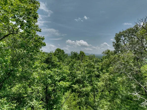 LOT Dillons Ridge Rd #C, Morganton, GA 30560