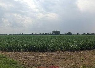 4th image of 731 W 850 N