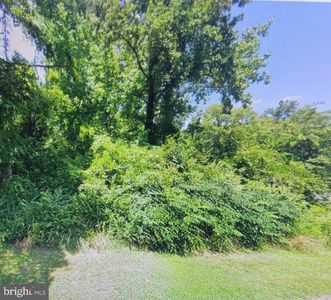 Harris Ave, Vienna, MD, 21869