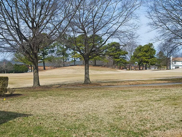 View/Backyard