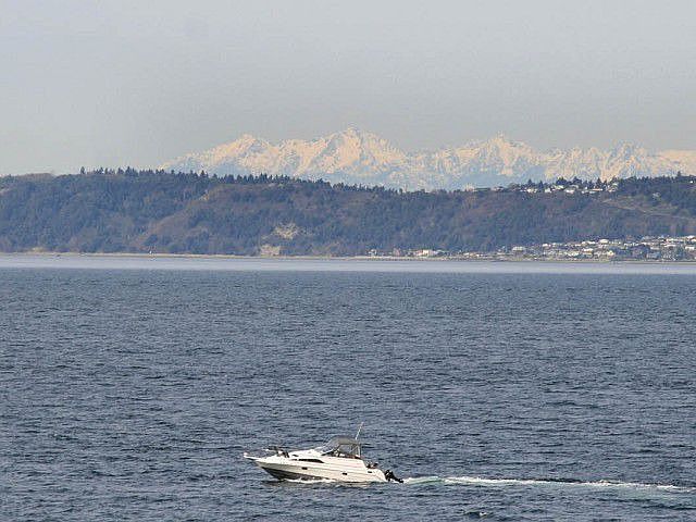 View From Living & Dining Rooms