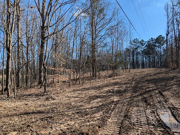 4th image of 245 Shady Ln