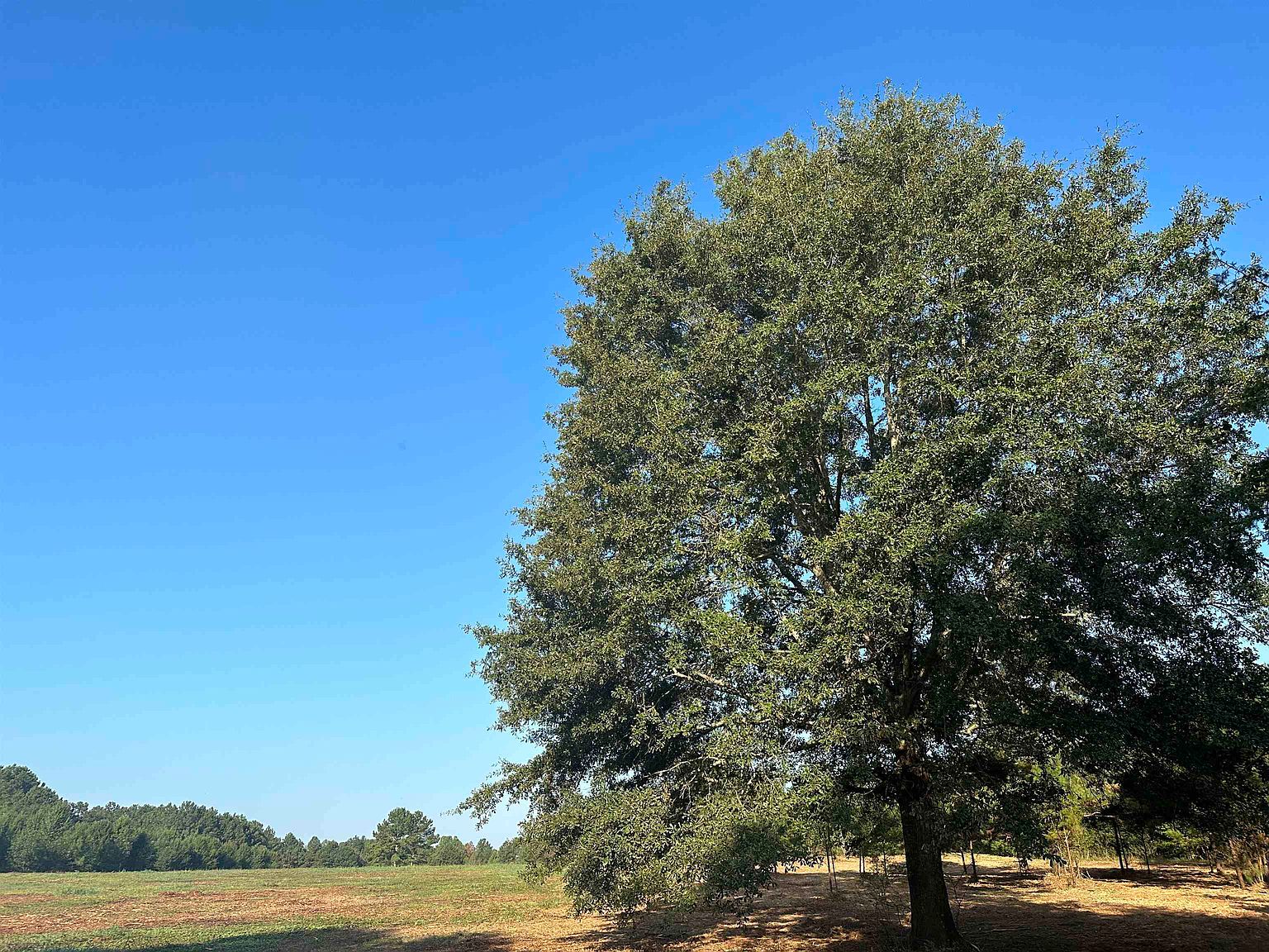 w-williamson-rd-williamson-ga-30292-zillow