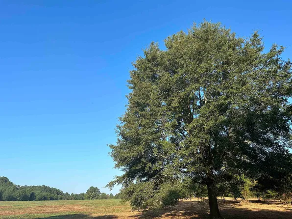 W Williamson Rd, Williamson, GA 30292