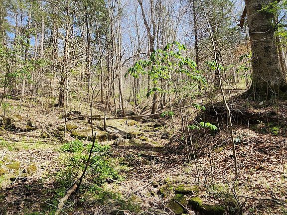 5th image of 0 Chapman Hollow Rd