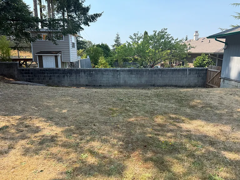 Backyard facing west.