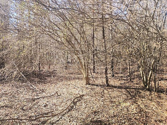 5th image of 0 Holiday Dam Rd