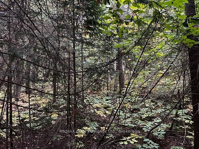 1st image of 4 Shore Rd S