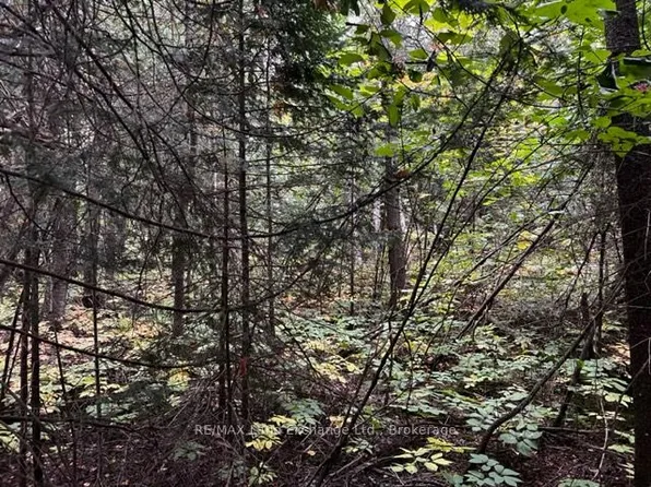 4 Shore Rd S, Saugeen 29, ON N0H 2G0