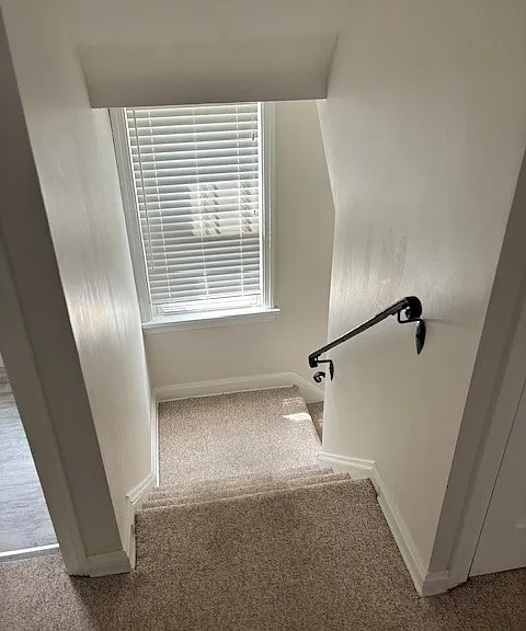 1135 Quilliams Rd — Photo 13