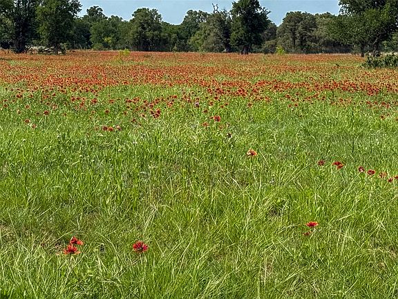 5th image of 2429 County Road 411