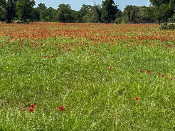 2429 County Road 411, Brownwood, TX 76801