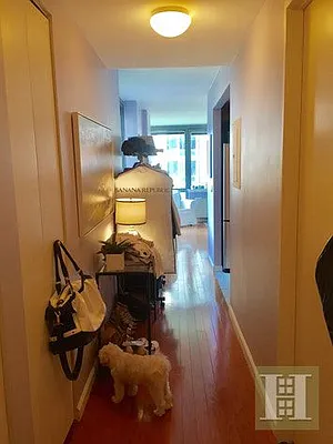 Rented by Halstead Real Estate | media 19