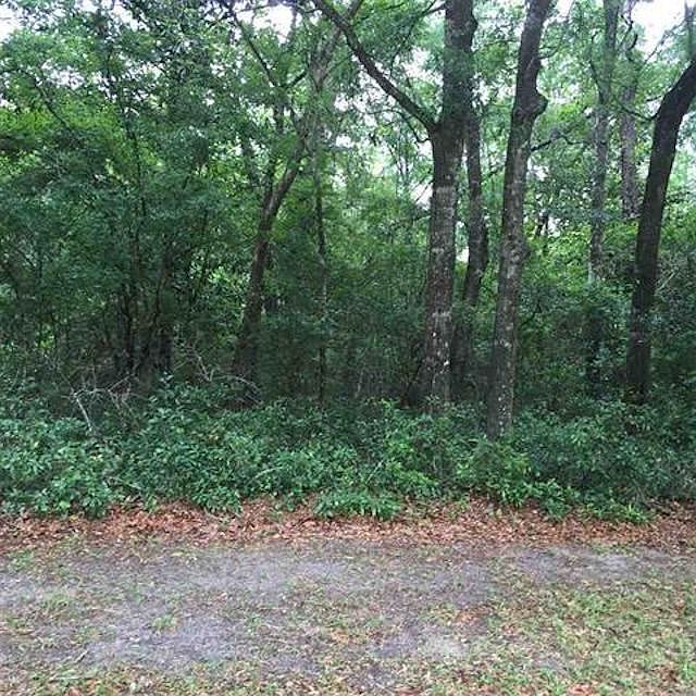 2nd image of Old Federal Rd
