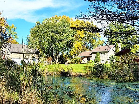 Natural Wildlife Pond