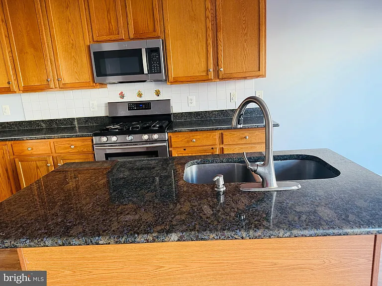 2503 Wheat Meadow Ct — Photo 7