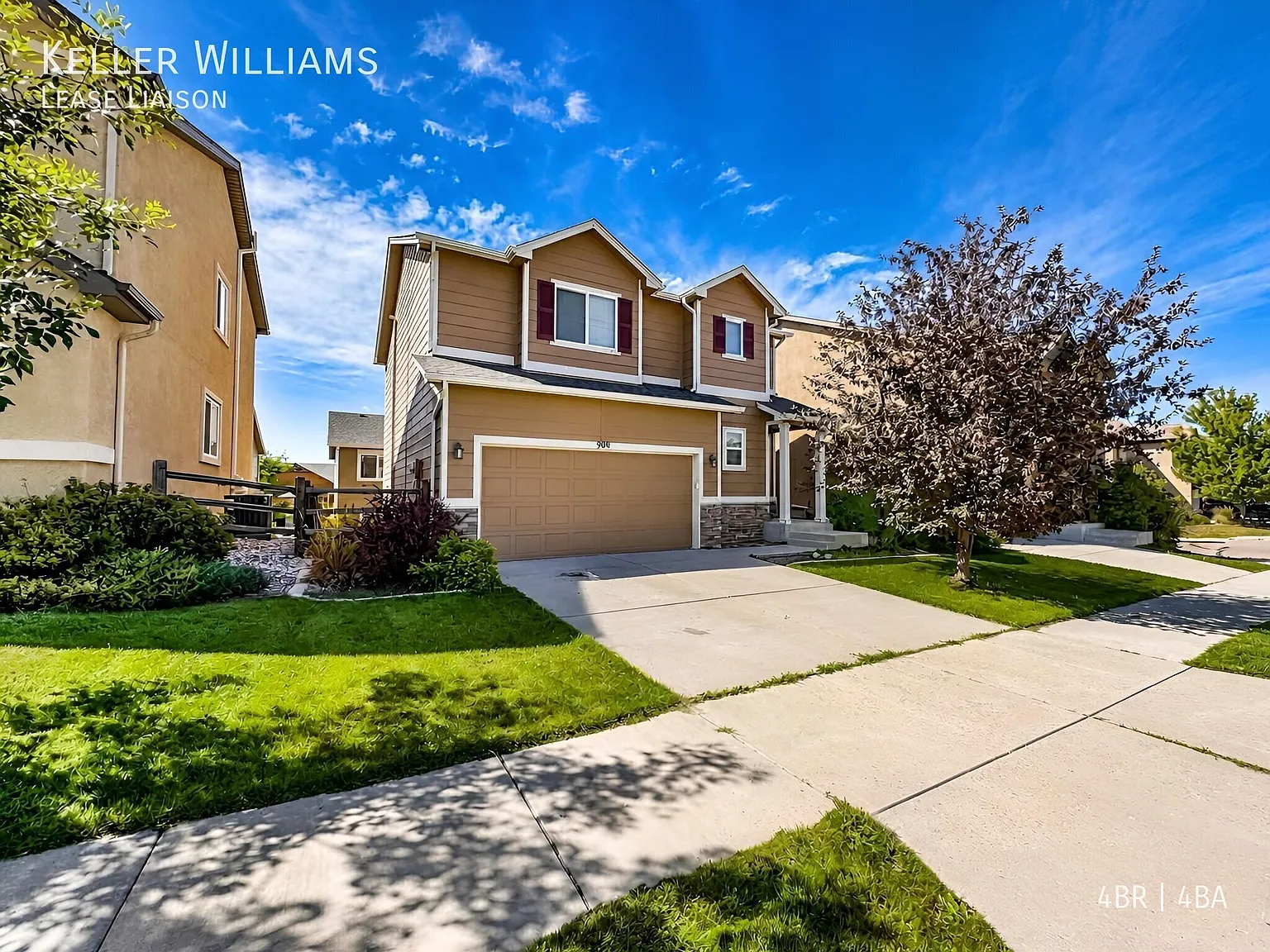 909 Fire Rock Place, Colorado Springs, CO 80921 — Photo 1