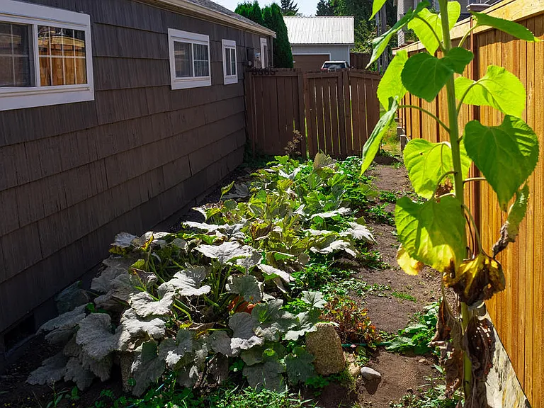New Exterior Photo